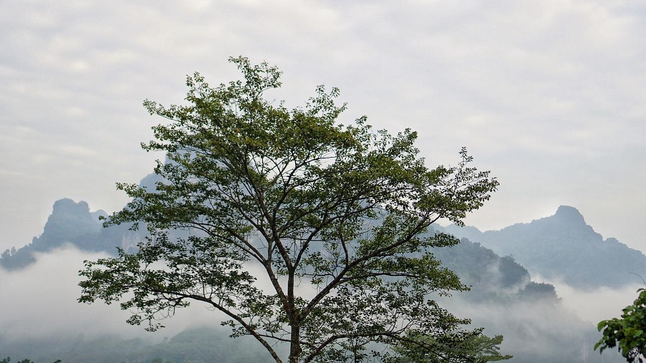 Khaowong Resort Phang Nga Luaran gambar
